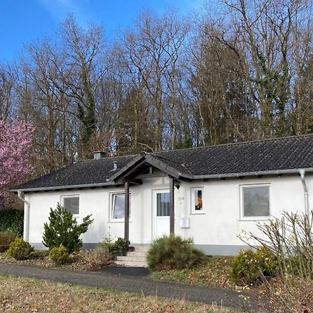 'T Boszicht Villa Gerolstein Eksteriør billede