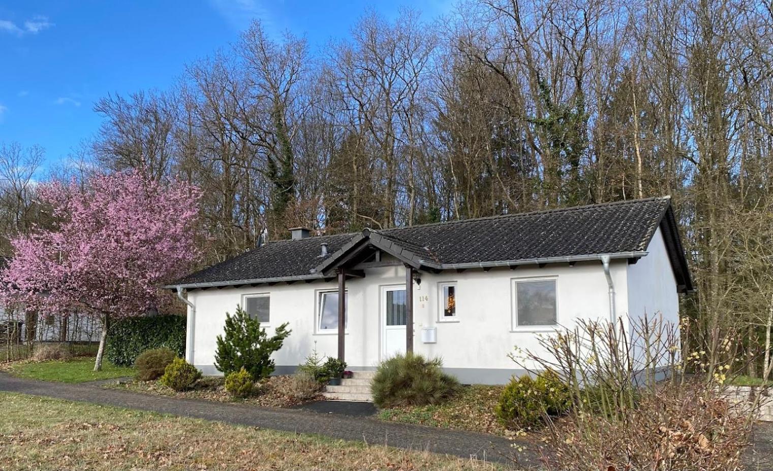 'T Boszicht Villa Gerolstein Eksteriør billede